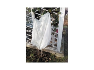 MANTA PROTECCION HELADAS 180 x 120 cm 30gr/m2